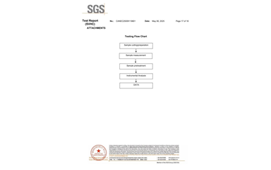 環(huán)保測(cè)試報(bào)告 SVHC CANEC25009119801